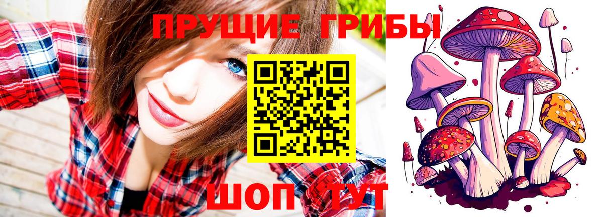 Галлюциногенные грибы Magic Shrooms Кувандык